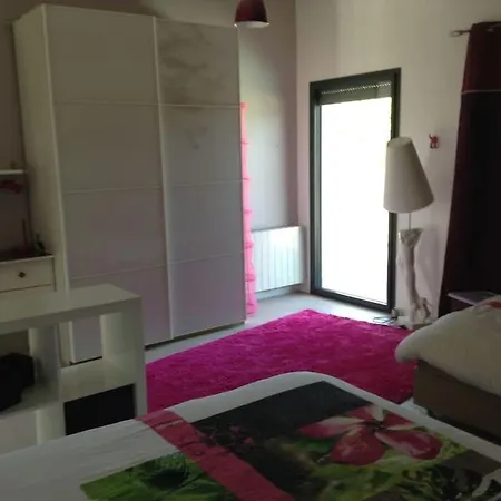 Grand Standing Piscine * Agde