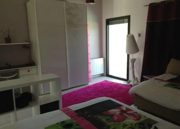 Grand Standing Piscine * Agde